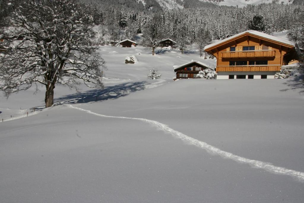 Chalet Baergbaechli Grindelwald Exteriör bild