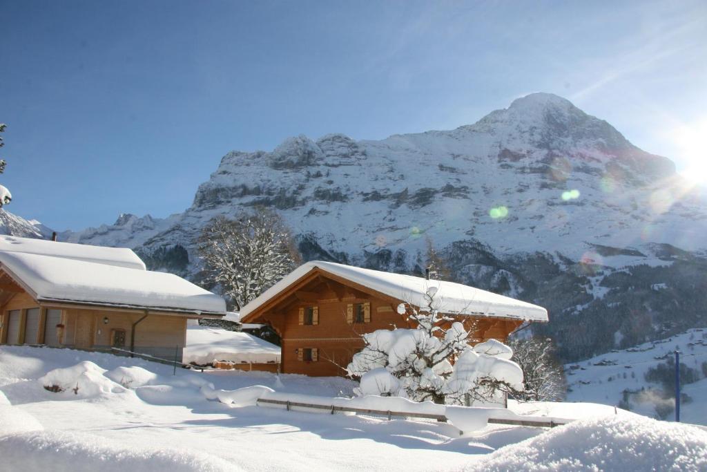 Chalet Baergbaechli Grindelwald Exteriör bild
