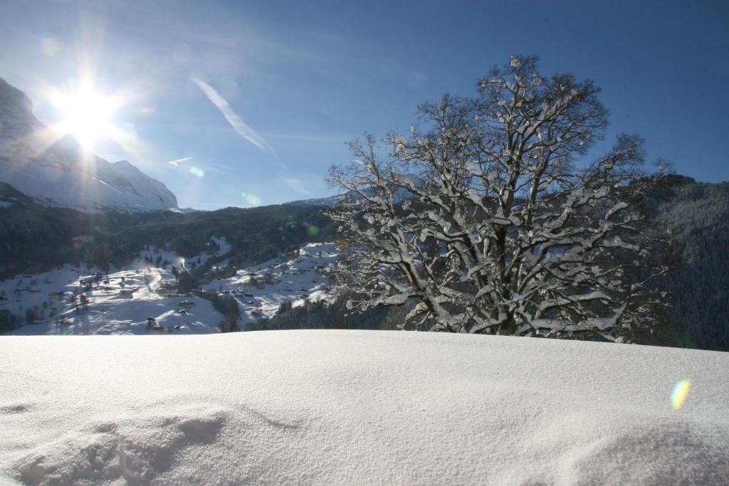 Chalet Baergbaechli Grindelwald Exteriör bild