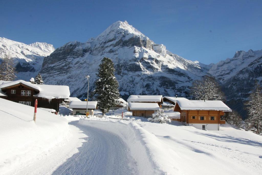 Chalet Baergbaechli Grindelwald Exteriör bild