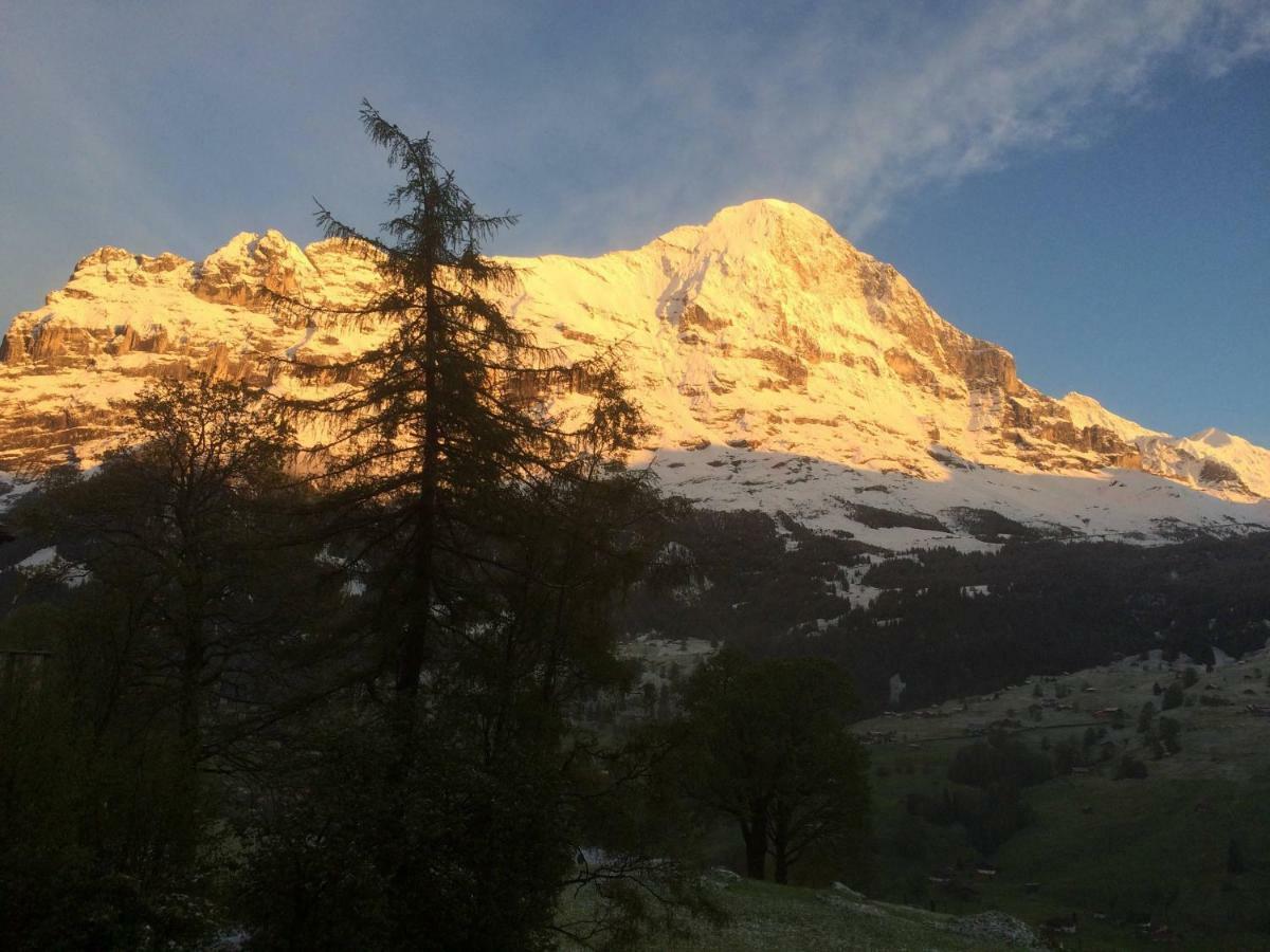 Chalet Baergbaechli Grindelwald Exteriör bild